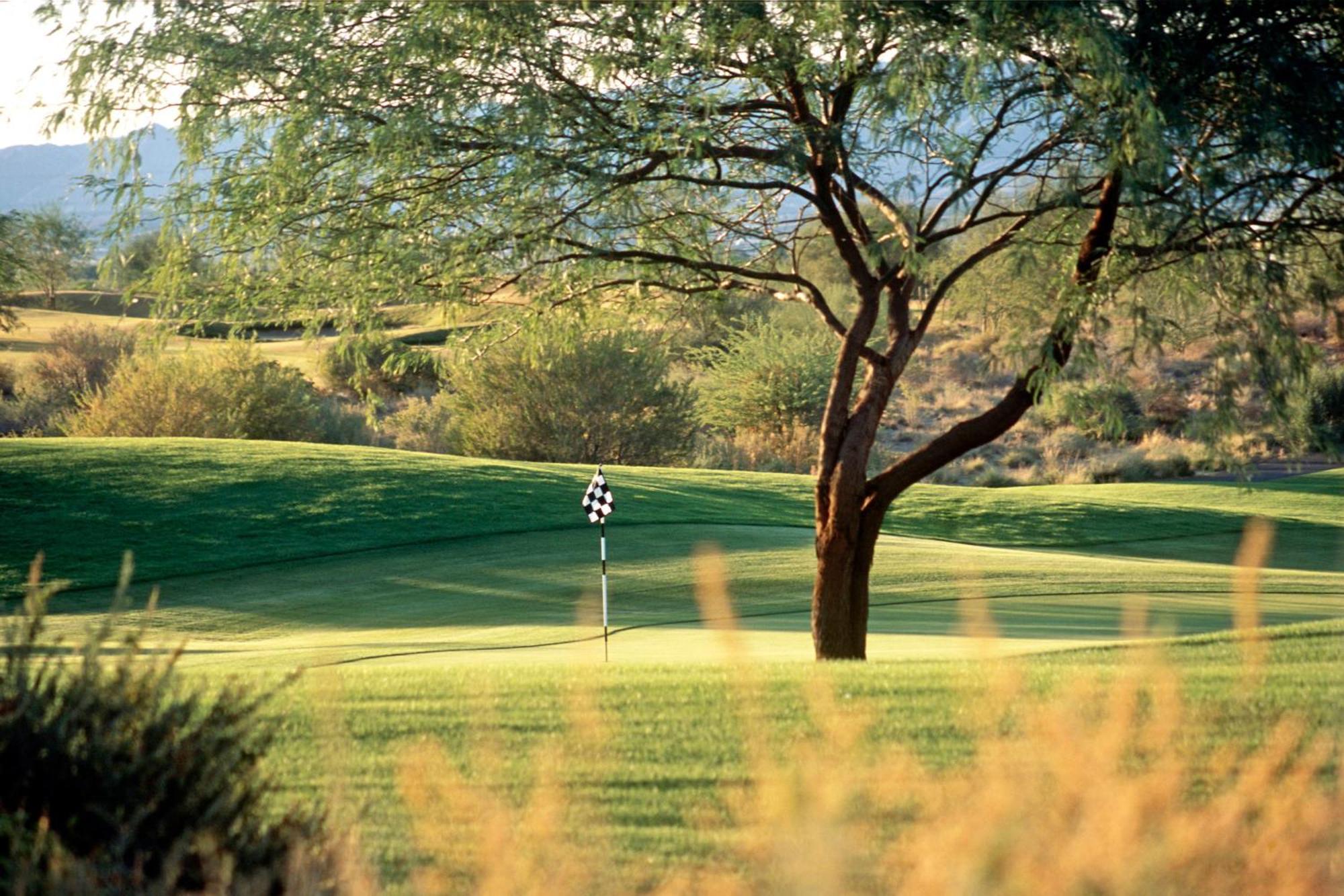 Sheraton Grand At Wild Horse Pass Chandler Dış mekan fotoğraf